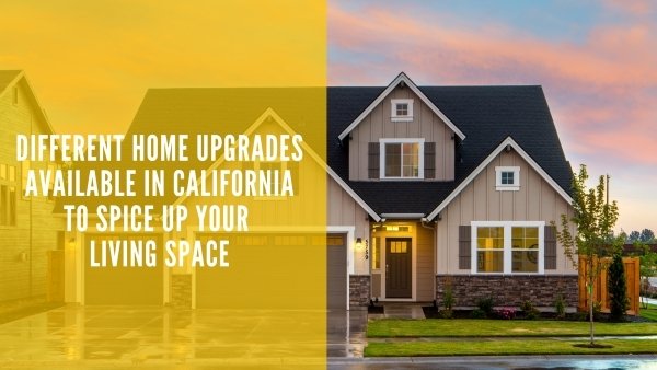 Sunlight Home Talks 1.1 - Greg Ohanjanyan Shares His Passion For Home Improvement Industry